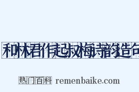 和林君作起叔梅诗韵造句是什么意思的图片